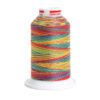 Нитка Gutermann Miniking №120 мультиколор