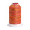 Нитка Gutermann Miniking №120 мультиколор